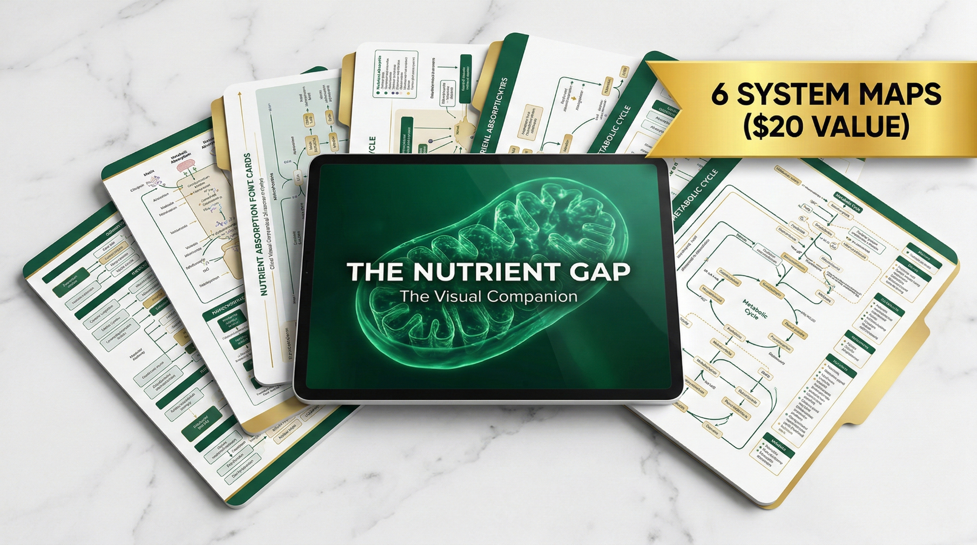 6 nutrient system map guides fanned out